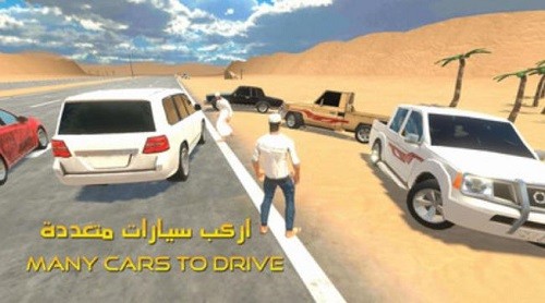 公路漂流遨游阿拉伯 (4)