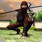 ʵģ
