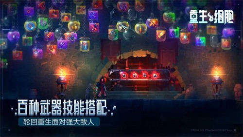 ϸ踶Ѱ