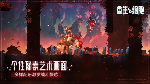 ϸ踶Ѱ