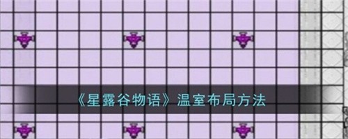 ¶β 滮ͼֹ2024