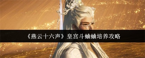 ����ʮ�����ʹ���������ô���� �ʹ���������������2026