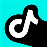 ������ѡ