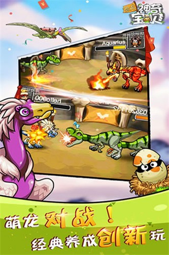 �������汦��