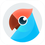 �е������