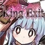 kingexitv�����޹���