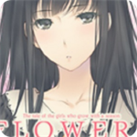 flowers����׿������