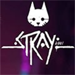 Stray��ʧ������