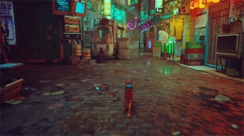 Stray��ʧ������