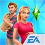 ģ�����������