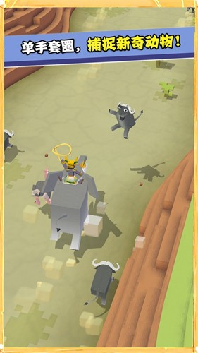 �����԰